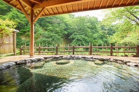 【美人の湯】夏油高原温泉郷 瀬美温泉 半露天風呂付 客室ペア宿泊 岩手県 北上市 R0004 