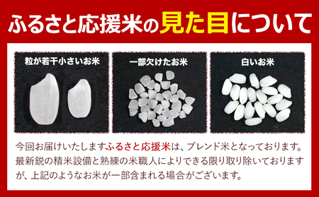 【12ヶ月定期便】米 無洗米 熊本 ふるさと応援 定期便 米 5kg