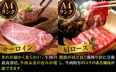 【半頭丸ごとオーダーカット！】博多和牛 半頭食べ尽くしセット[VBB083]