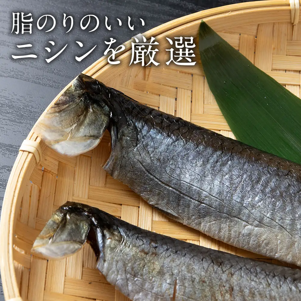 とろにしん2枚入 5袋 菊地水産_Y020-0673