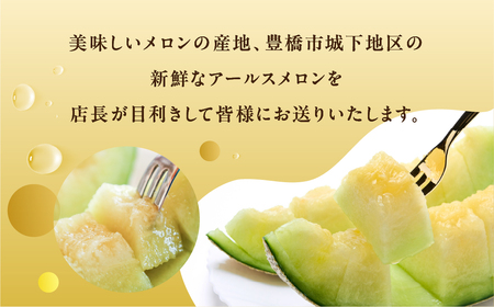 アールスメロン 大玉 1玉 豊橋城下 メロン
