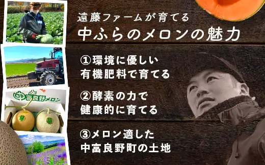 【2026年発送】遠藤ファームの中富良野メロン青肉大玉１玉（1.6kg以上）【AX-007】