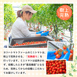 No.1198 428JAM(120g×3個・計360g) 国産 九州産 ジャム トマト トマトジャム 砂糖控えめ【ヨツハトマトファーム】