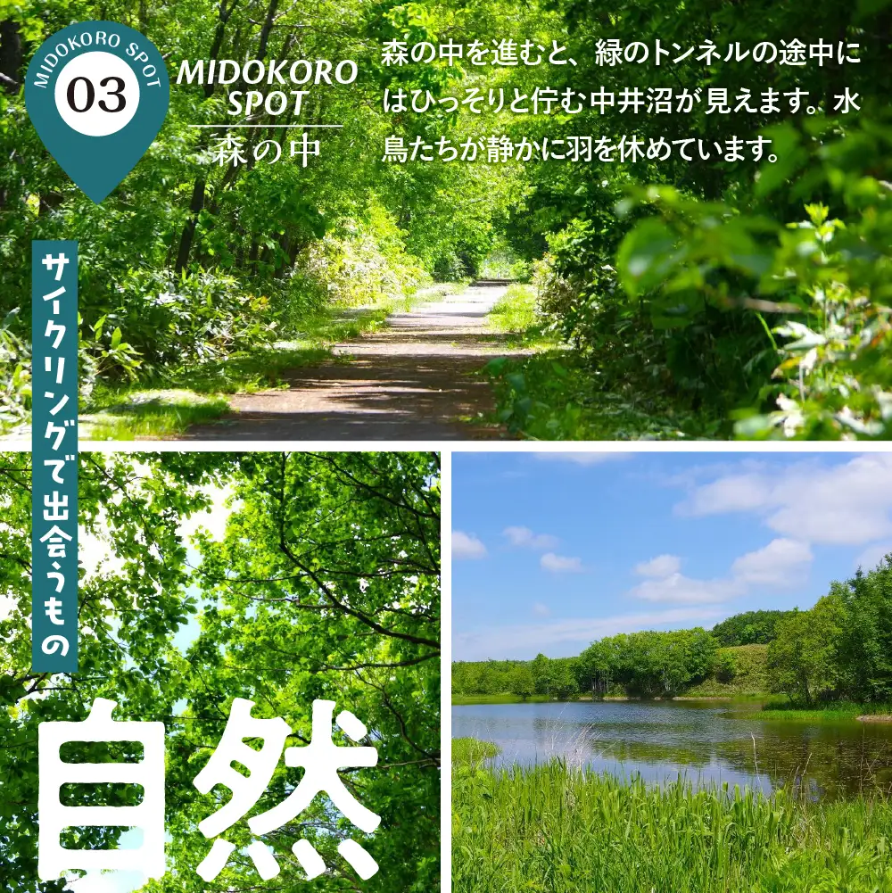 超絶景！サロベツの丘とカフェを巡るサイクリングツアー