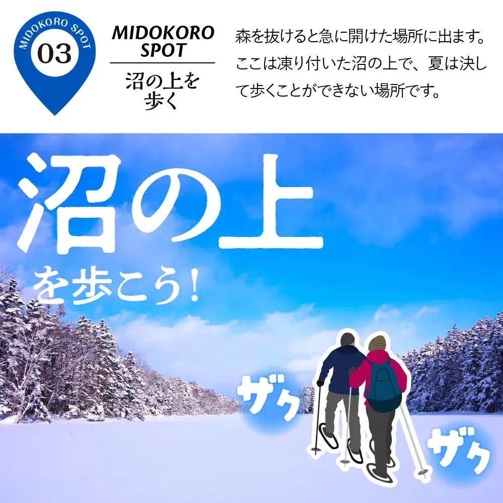 神秘の森と湖沼へ！特別なスノーシューツアー