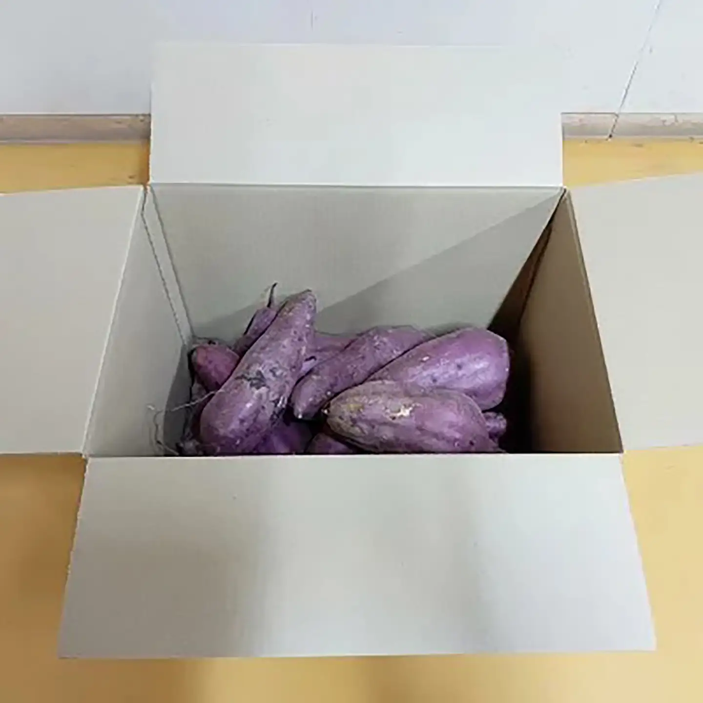 先行予約 さつまいも 訳あり 紅はるか 7kg さつまいも