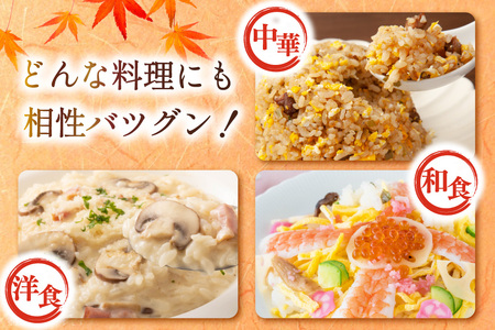 白米 精米 元気つくし 令和7年産 白米 5kg [um40azp240001]