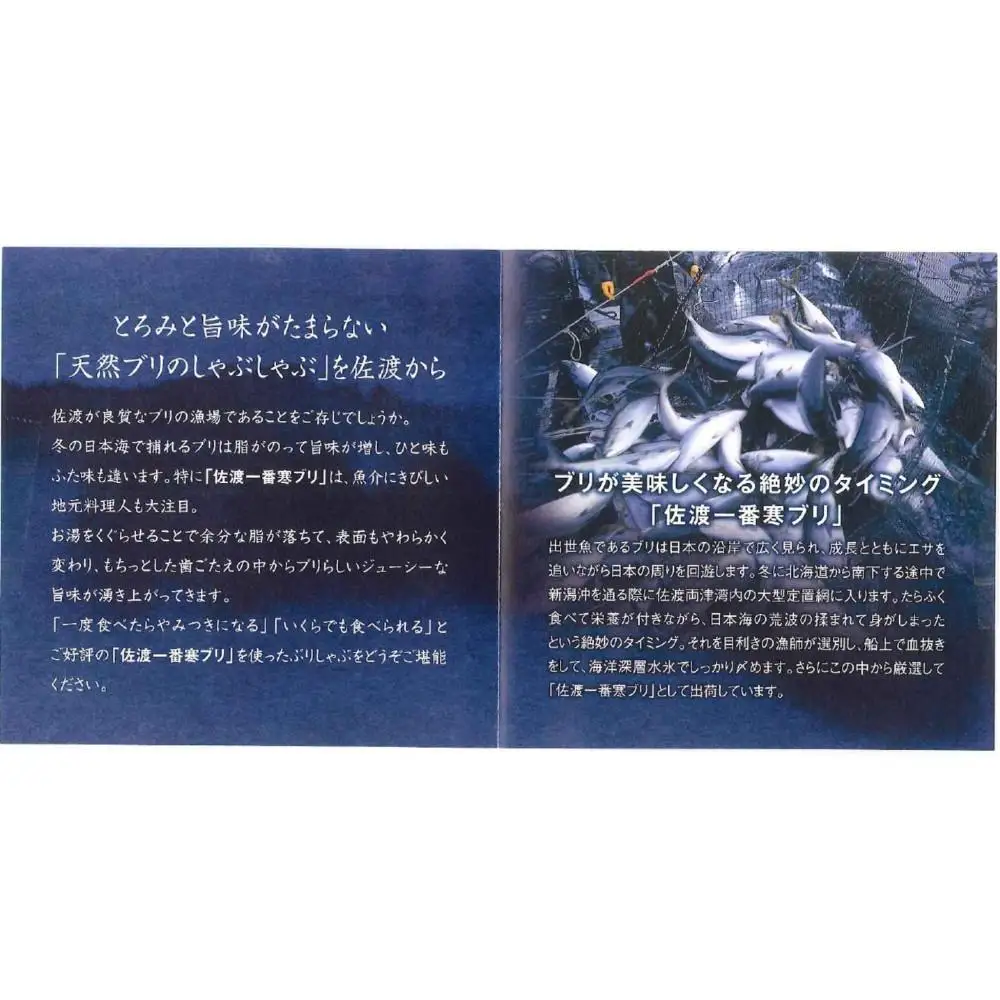 天然寒ぶりしゃぶしゃぶセット