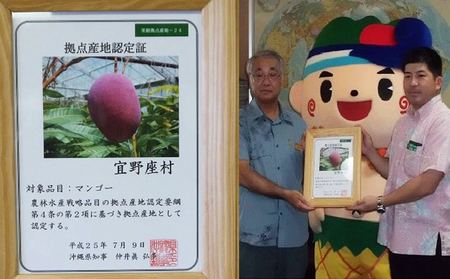 マンゴー 拠点産地【2026年発送】「宜野座村」秀品アップルマンゴー（約1kg）