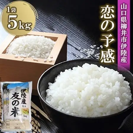 水稲うるち精米 5kg_ 精米 米 _【1573891】