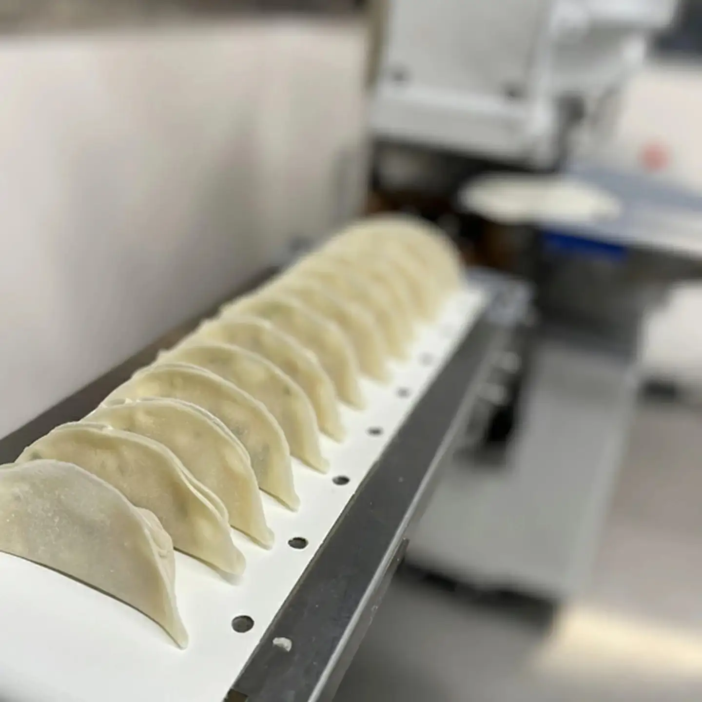 佐賀産「肥前さくらポーク」を100％使用した餃子5Pセット（合計90個） 国産 ぎょうざ 餃子 ギョーザ 冷凍餃子 冷凍ギョーザ 国産ブランド豚使用餃子：B220-032