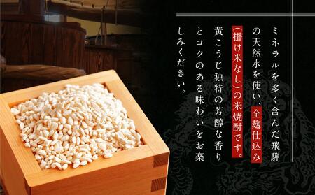 龍の瞳で作った米焼酎 25度 300ml×2本 | 酒 お酒 さけ 焼酎 米焼酎 人気 おすすめ 10000円 飛騨高山 おみやげ処 三川屋 LH016