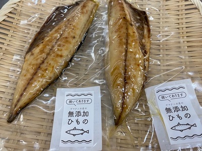 a15-669　【焼津ひもの食堂】焼いてあるとろさばひもの10枚