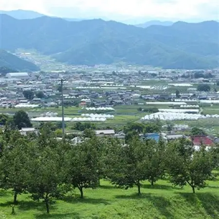 家庭用　長野県北信州のりんご　約1.5kg(3～6玉)おまかせ1品種【1575373】