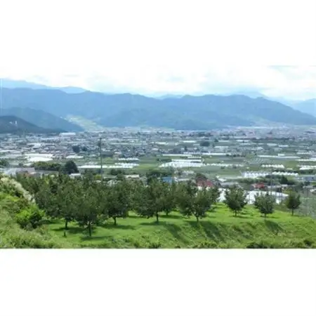 【2026年発送】フルーツ王国　長野県信州直送　白桃　約5kg(12～16玉)【配送不可地域：離島】【1576258】
