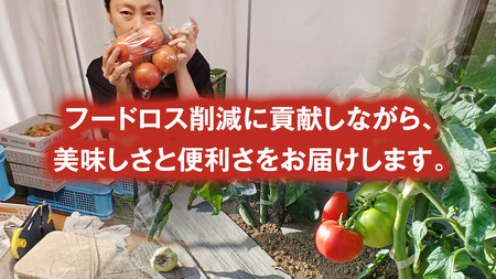 冷凍 トマトピューレ 180g × 5パック 訳あり [AL009tu]