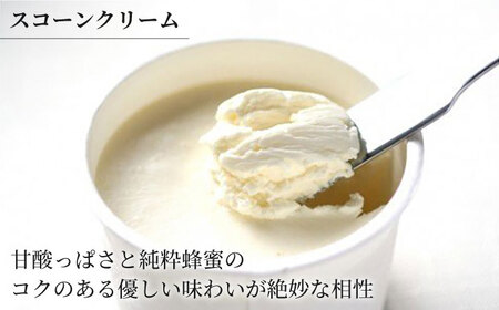【6回定期便】 famfam リッチハニースコーンセット(クリーム付き) 多治見市 / famfam[TAK021]