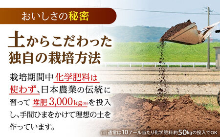 【R7年産】循環農法米 ヒノヒカリ 白米 5kg / 米 こめ コメ おこめ お米 白米 ひのひかり / 諫早市 / 株式会社土井農場 [AHAD094]