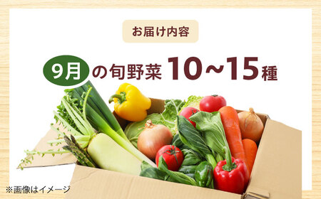 高槻野菜おまかせ詰め合わせセット 9月（10種〜15種）[AOCS015]野菜セット