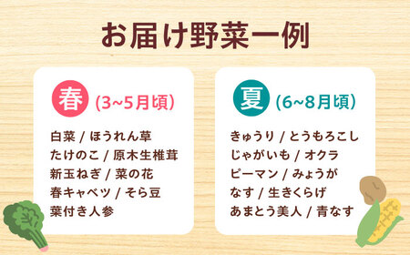 【全6回】高槻野菜 おまかせ詰め合わせ定期便 （10種〜15種）[AOCS020]野菜