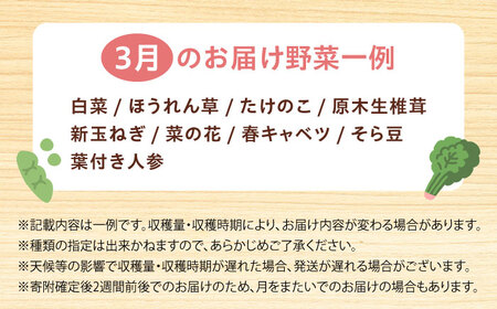 高槻野菜詰め合わせ 3月（10〜15種）＆はちみつ セット[AOCS022]野菜セット