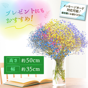 【佳花園】レインボーかすみそう 花束[156K03]