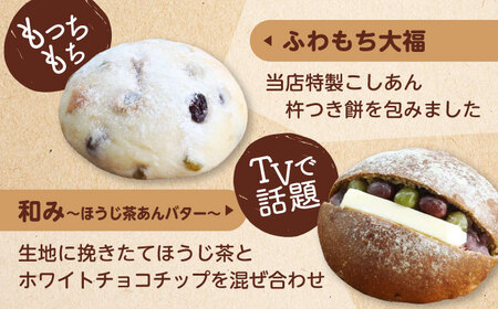 【3回定期便】 あんこ好きの食べ比べ 10個セット 【パンの店 カッタン】 パン あんぱん 大人気店[MEJ010]