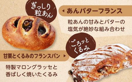 【12回定期便】 ハード系パン お楽しみバラエティーセット 10〜13点 【パンの店 カッタン】 パン 食パン 大人気[MEJ016]