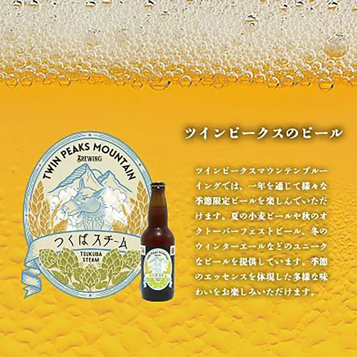 クラフトビール おまかせ12本 ビール
