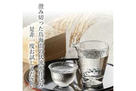遊佐の生酒 300ml 2種類飲み比べ 6本セット 東北泉「純米吟醸 美山錦 生」 杉勇「吟醸 山田錦 生」 冷蔵便 ※離島発送不可 高橋酒造店 杉勇蕨岡酒造場 生酒 生詰め 純米吟醸酒 吟醸酒 山形県 遊佐町 庄内 日本酒 お酒 清酒 [1495]