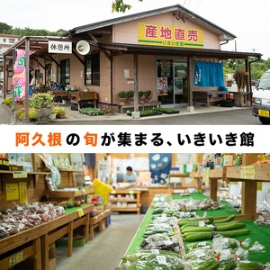＜先行予約受付中！2026年6月以降順次発送予定＞鹿児島県産！南国グリーンメロン(Lサイズ×6個) メロン めろん 果物 スイーツ デザート フルーツ 【あくね旬の店いきいき館】akn015-20