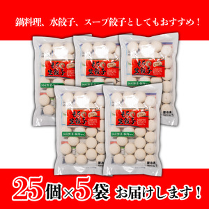 もち〇生餃子 【25個入×5パック 計125個】セット 詰め合わせ 餃子のたれ 国産 ぎょうざ 餃子 餃子 餃子 餃子 餃子 餃子 餃子 餃子 餃子 【ASN0011】