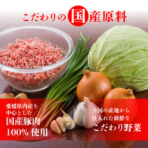 えひめの美味しい厳選餃子 あさの生餃子 もち〇生餃子 セット【5パック 計125個】セット 詰め合わせ 餃子のたれ 国産 ぎょうざ 餃子 餃子 餃子 餃子 餃子 餃子 餃子 餃子 餃子 【ASN0031】