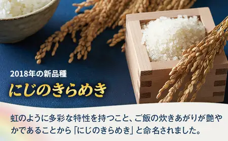 岐阜県産 令和7年産 にじのきらめき 10kg(5kg×2袋) 米 お米 コメ 白米 精米 岐阜 瑞穂市