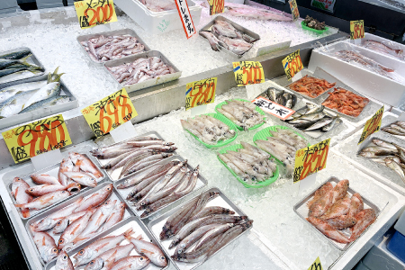 干物盛り合わせセット【4～5種類 約13枚 約1kg 干物 干もの ひもの 乾物 旬の魚 おまかせ 詰め合わせ セット ご当地 ギフト プレゼント ご自宅用】