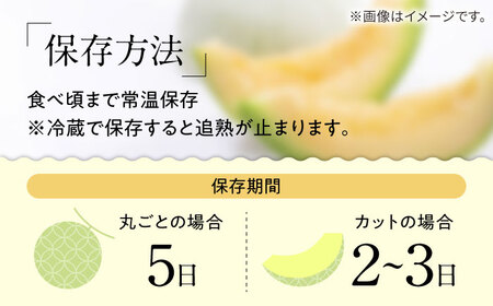 【2027年4月下旬-発送】【根強い人気!】訳あり プリンスメロン 約4kg×2箱（1箱 7?13玉） 傷もの / メロン めろん 果物 フルーツ / 南島原市 / 南島原果物屋[SCV020]