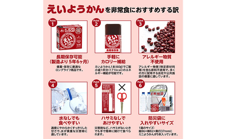 井村屋 えいようかん 非常食 1セット(20本:5本入×4) 羊羹 長期保存