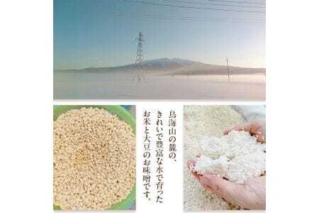 米味噌 あかり味噌 100g×10袋 計1kg 冷蔵便 ※離島発送不可 熟成 木樽仕込み 寒仕込み みそ クラフト味噌 小分け お試し 少量 東北 山形県 遊佐町 庄内 [1000]