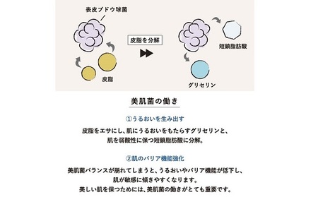 オサジ エンリッチバイオセラム（プレ美容液）2本セット