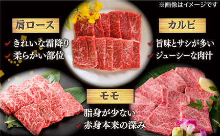 肉 【全6回定期便】【ブランド牛・しまね和牛】焼肉3種セット(肩ロース・カルビ・モモ) 各300g 島根県松江市/Do corporation株式会社（しまね和牛）[ALFU029] 肉 肉