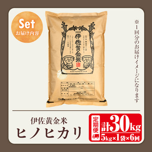 isa602 《数量限定・6回定期便》令和7年産 小北農場のお米 伊佐黄金米〈ヒノヒカリ〉(計30kg・5kg×1袋×6回) 鹿児島 伊佐 お米 特別栽培米 伊佐米 白米 ヒノヒカリ ひのひかり おにぎり ごはん 【小北農場】