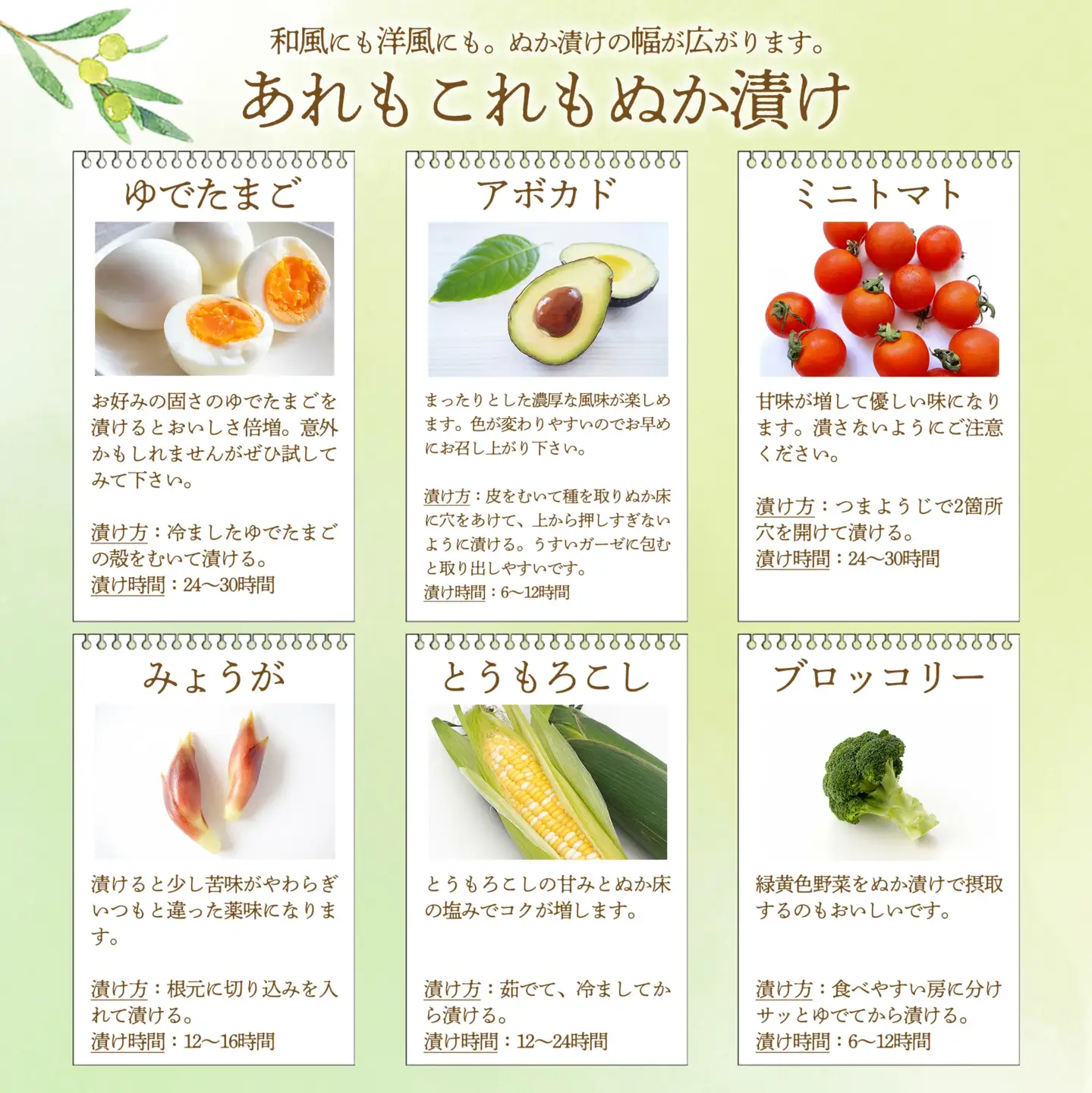 オリーブが入ったぬか床　【11218-0847】