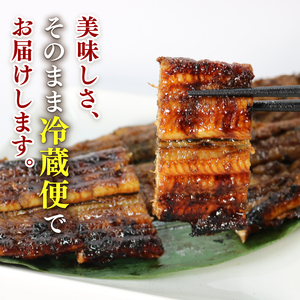 うなぎ 蒲焼 大姿焼き 2尾 140g×2 【全6回定期便】 | 鰻 鰻