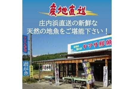 地魚おまかせセット 4～5種類入り 計3.5kg以上 冷蔵便 ※着日指定・離島（沖縄県を含む）への発送不可 東北 山形県 遊佐町 庄内地方 鮮魚 詰合せ 産地直送 新鮮 [518]