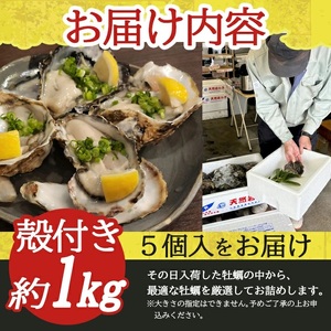 山形県遊佐町女鹿産 天然岩牡蠣 5個入 約1kg 殻付き 6月上旬～8月下旬頃お届け 冷蔵便 ※着日指定・離島（沖縄県を含む）発送不可 カキ かき 岩かき お取り寄せ 日本海 東北 庄内 鮮魚 新鮮 [1186]
