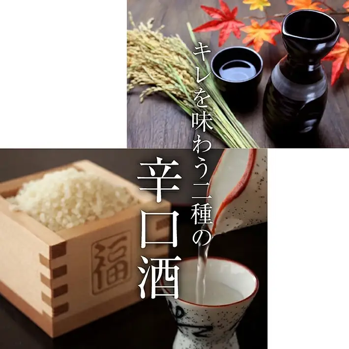 遊佐のおすすめ辛口酒セット 1800ml×2本 東北泉「純米超辛口」 杉勇「特別純米 辛口+8」 高橋酒造 杉勇 出羽の里 山形県 遊佐町 庄内 日本酒 酒 お酒 清酒 詰合せ セット品 飲み比べ 家飲み 宅飲み おうち時間 [421]
