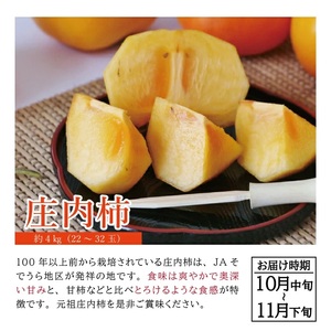 SC0629　【3回定期便】自然の恵み 春・夏・秋フルーツ定期便2026 (2)(いちご、彩りメロン［青肉・赤肉］、柿)