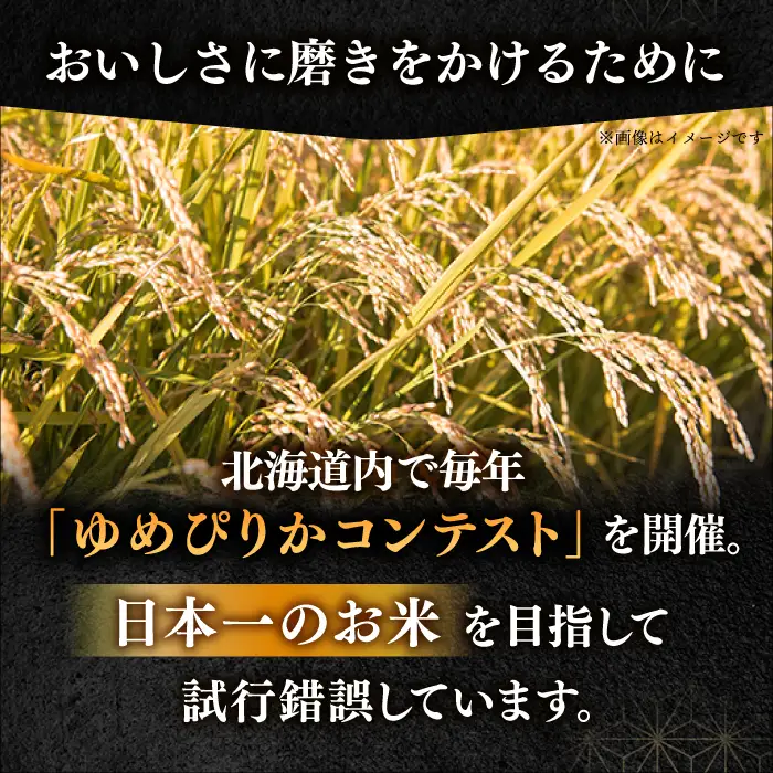【全2回定期便】【令和7年産】 ゆめぴりか 5kg 米 定期便 2カ月 連続 毎月 お米 白米 ご飯 ブランド米 特A 5キロ 北海道 [AXAB062]