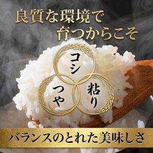 スピード発送!! （最短2日~7日程度で発送） 茨城県 筑西市産 にじのきらめき 10kg ( 障がい者アート パッケージ )