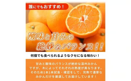 【先行予約】有田の小玉みかん5kg(S～3Sサイズ混合)◇｜みかん ミカン 柑橘 果物 くだもの フルーツ 甘い 小玉 先行予約 国産 濃厚 絶妙 糖度 酸味 産地直送 美浜町